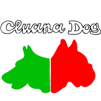 Cluana Dog